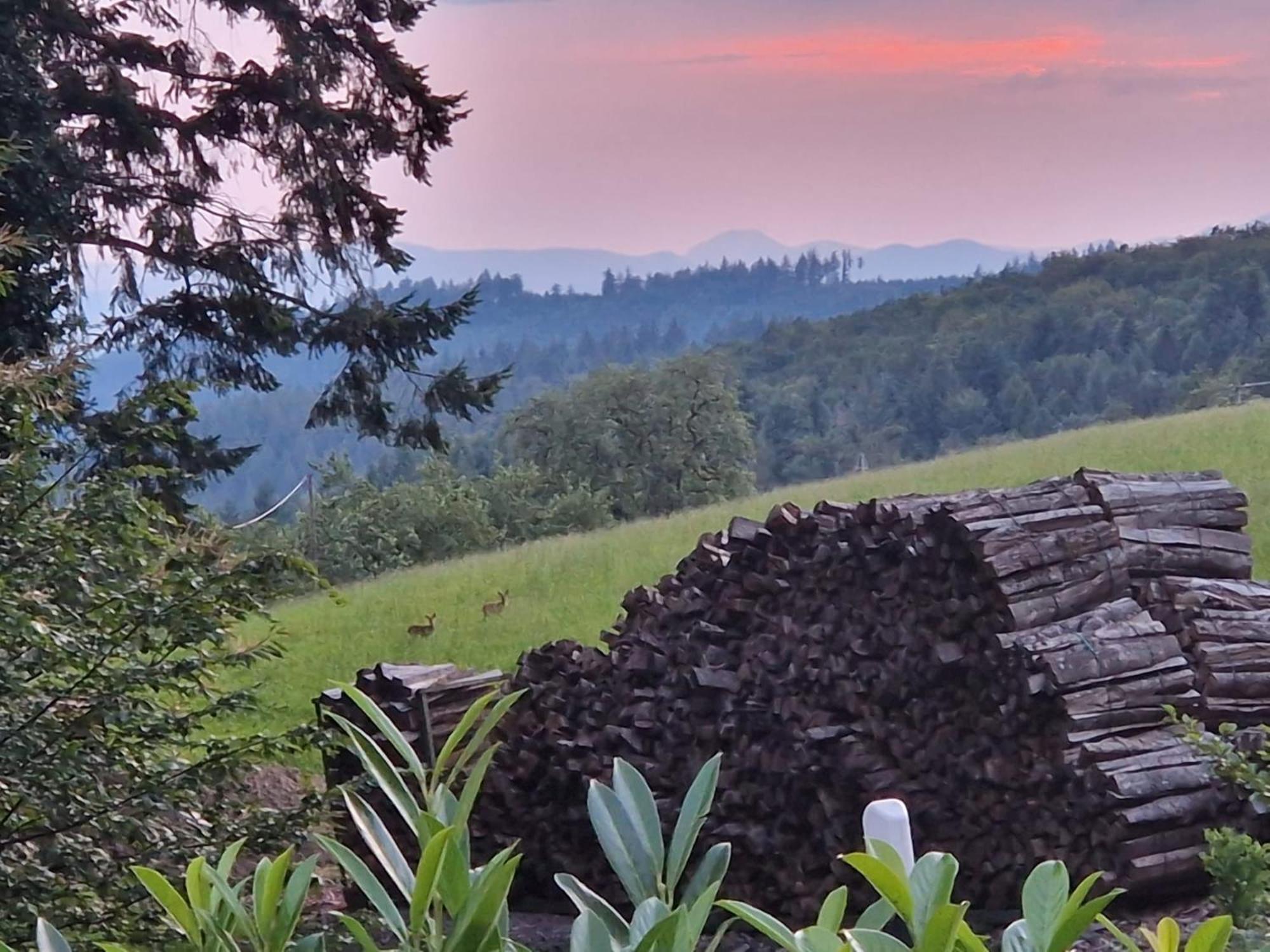 Hotel Ferien Im Schwarzwald Freiamt Extérieur photo