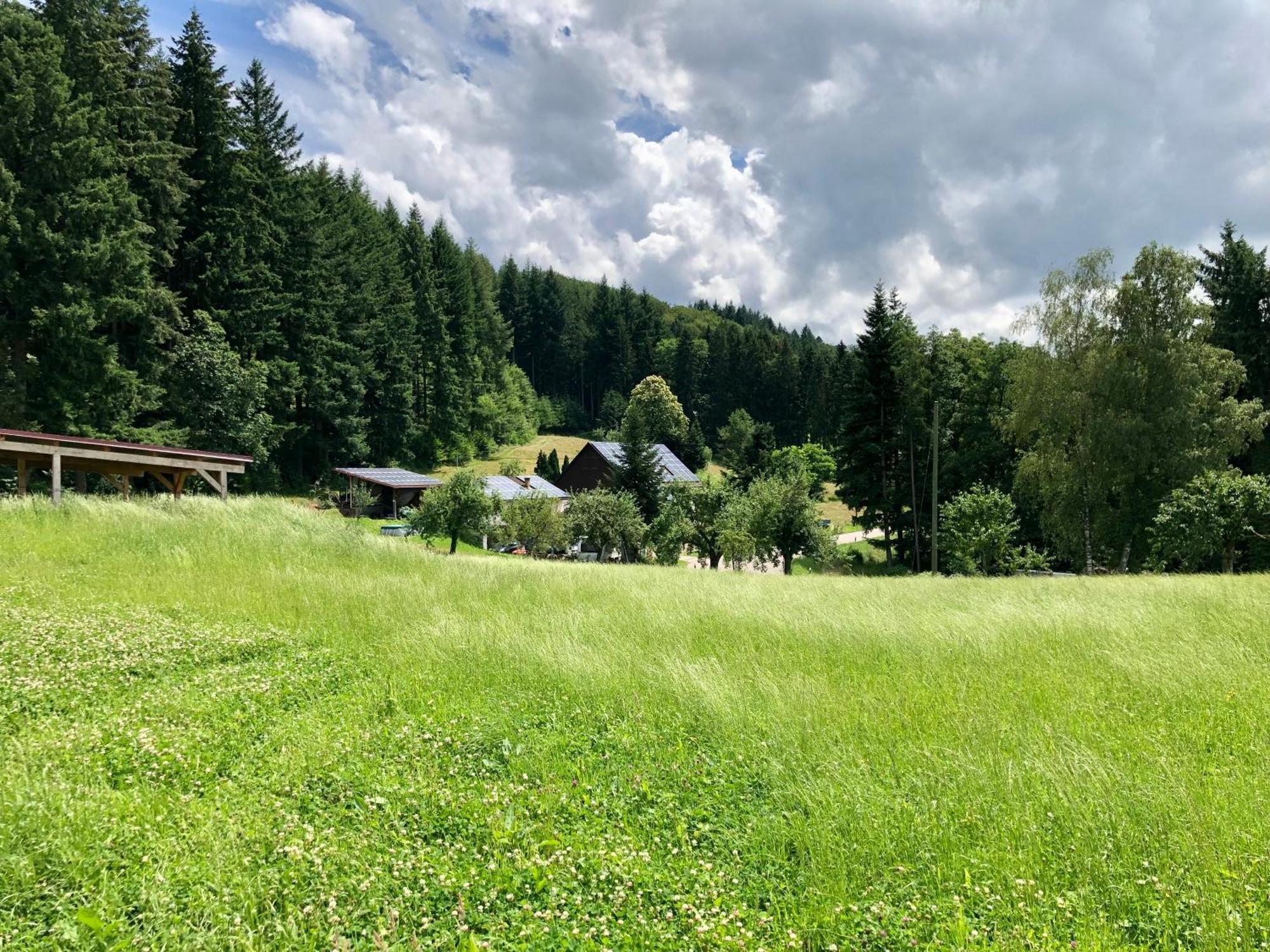 Hotel Ferien Im Schwarzwald Freiamt Extérieur photo