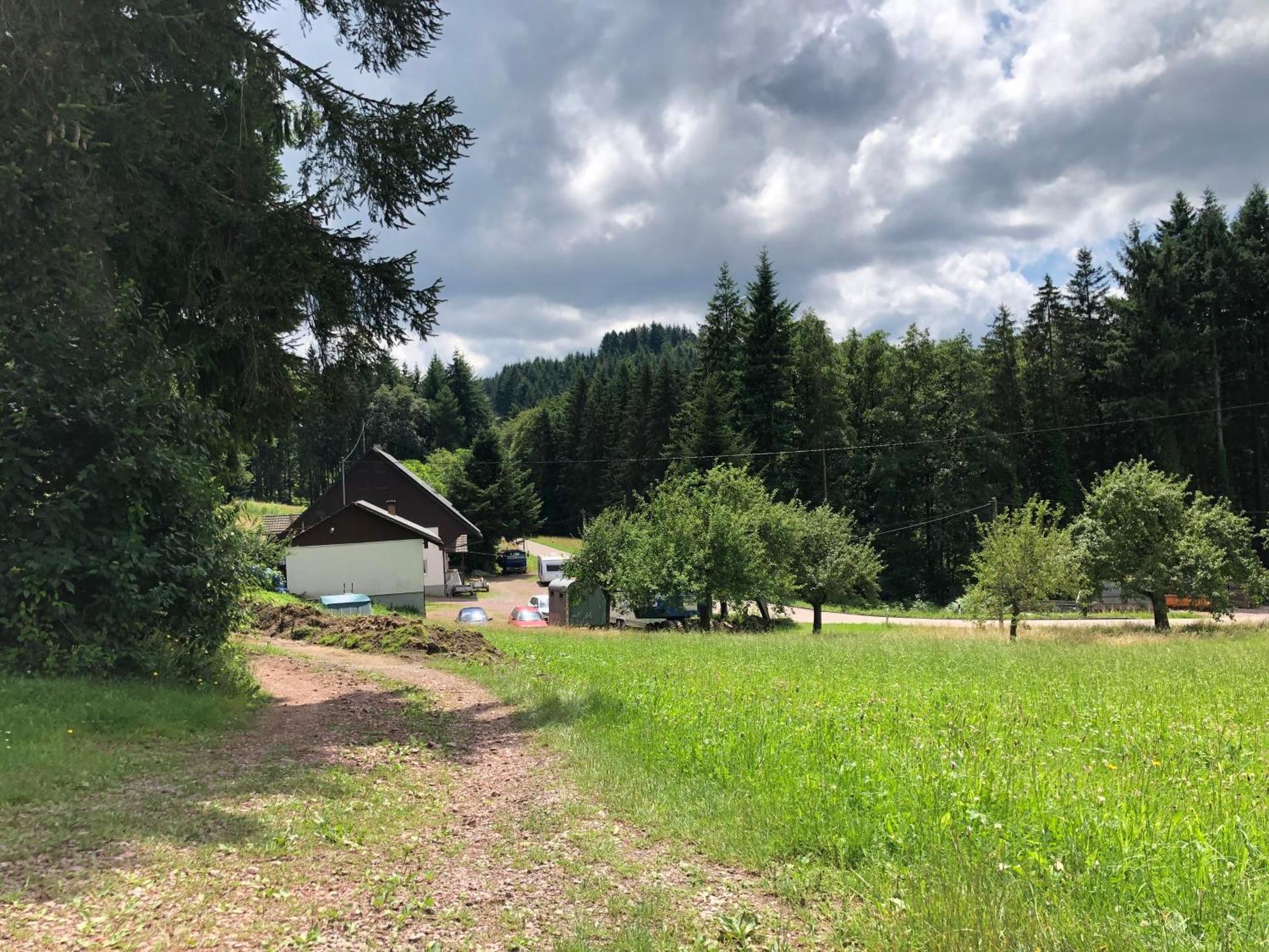 Hotel Ferien Im Schwarzwald Freiamt Extérieur photo