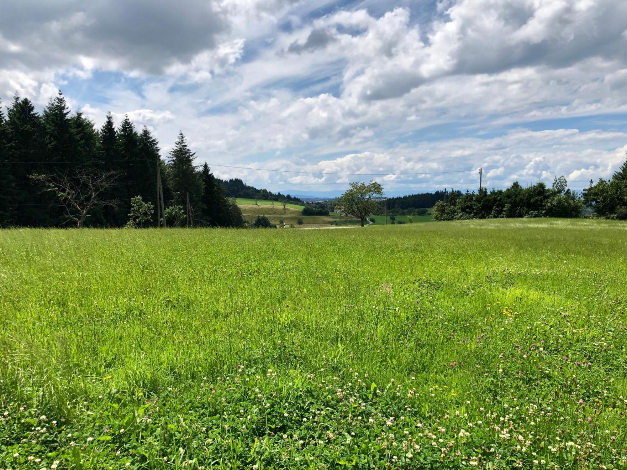 Hotel Ferien Im Schwarzwald Freiamt Extérieur photo