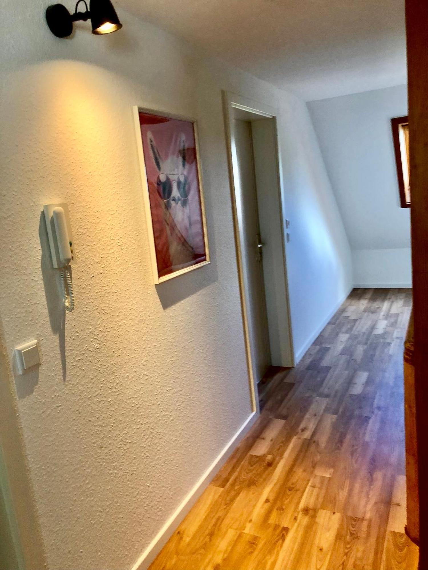 Hotel Ferien Im Schwarzwald Freiamt Extérieur photo